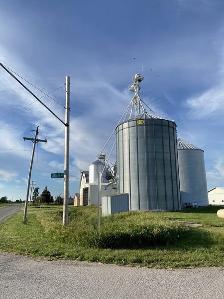 Alicia - June 2021 (newer photo)